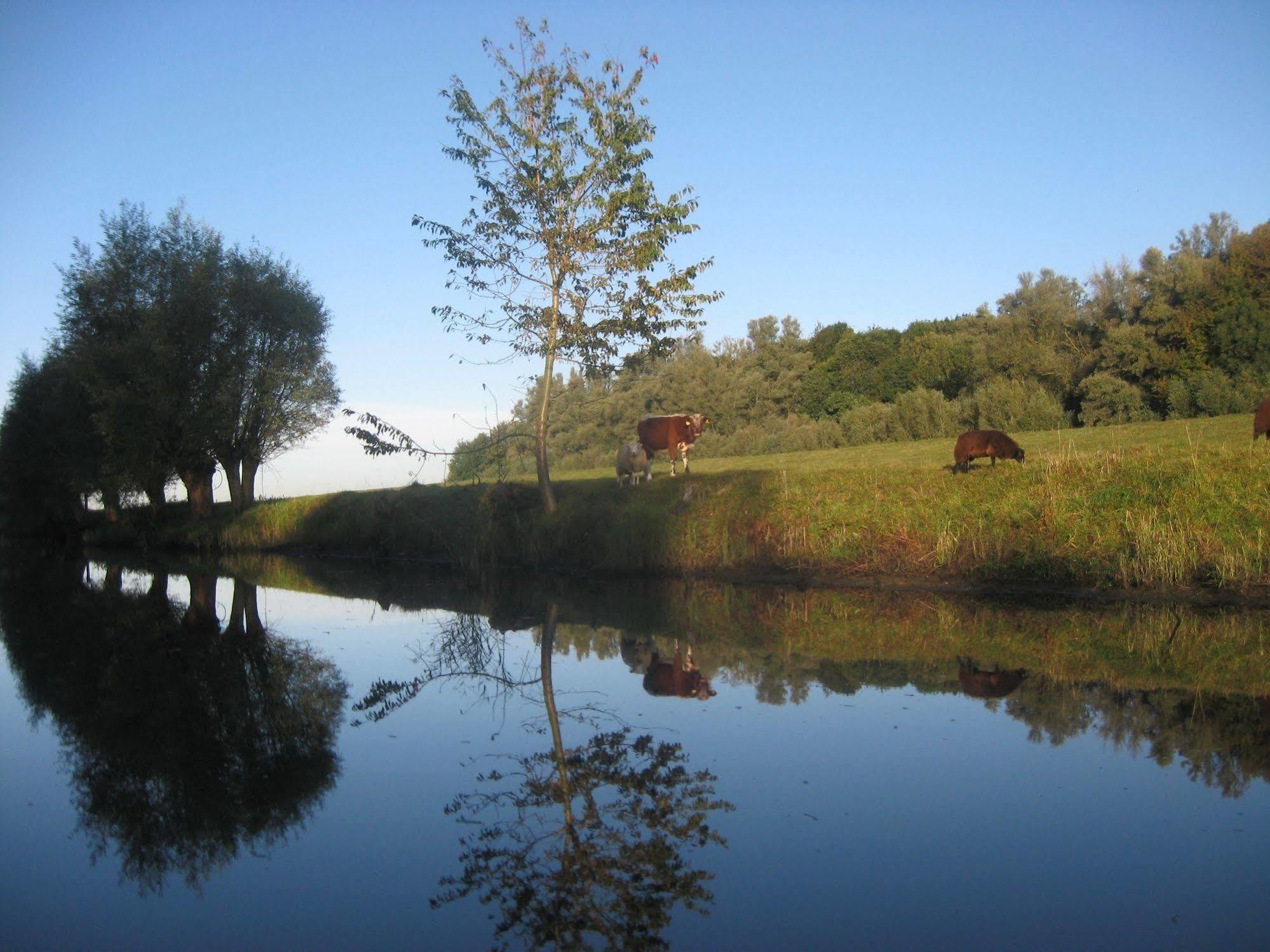De Brabantse Biesbosch Hotel Werkendam Exterior foto